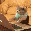 meme sobre trabajar en laptop